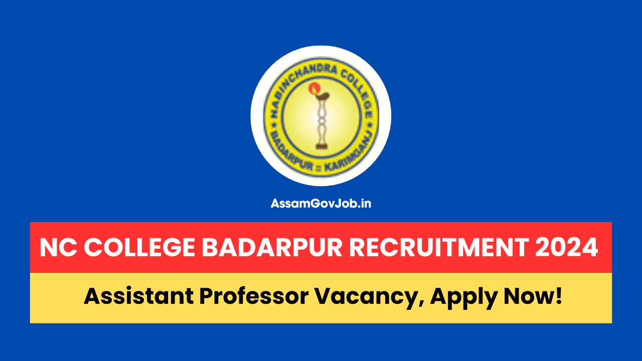 NC College Badarpur Recruitment 2024