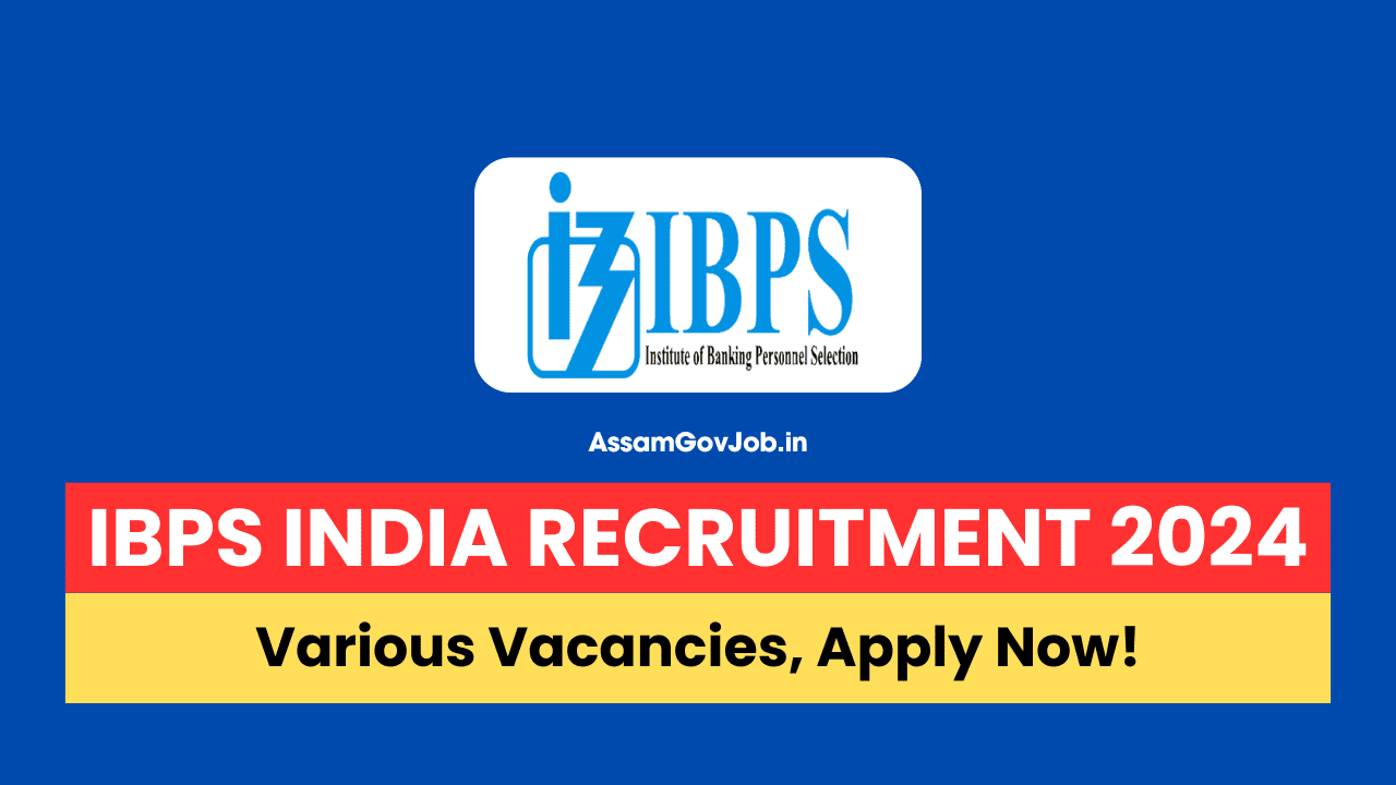 IBPS India Recruitment 2024